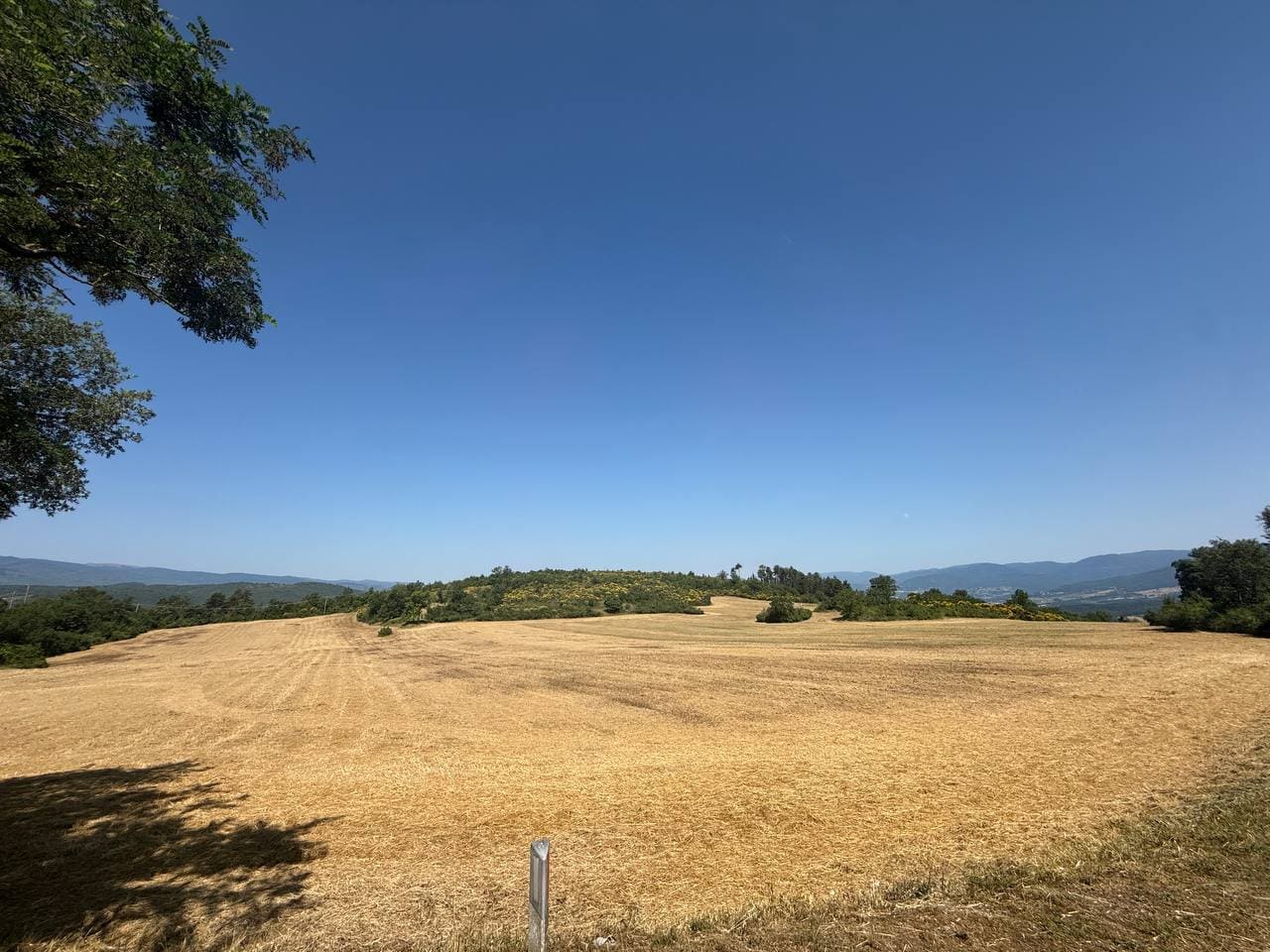 Casale Indipendente Con 70 Ettari Di Terreno – Rif. V191