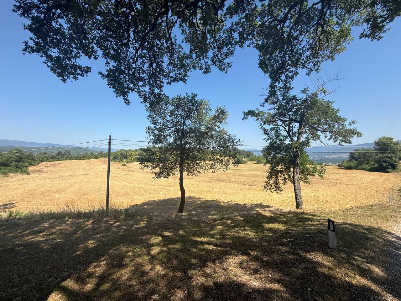 Casale Indipendente Con 70 Ettari Di Terreno – Rif. V191
