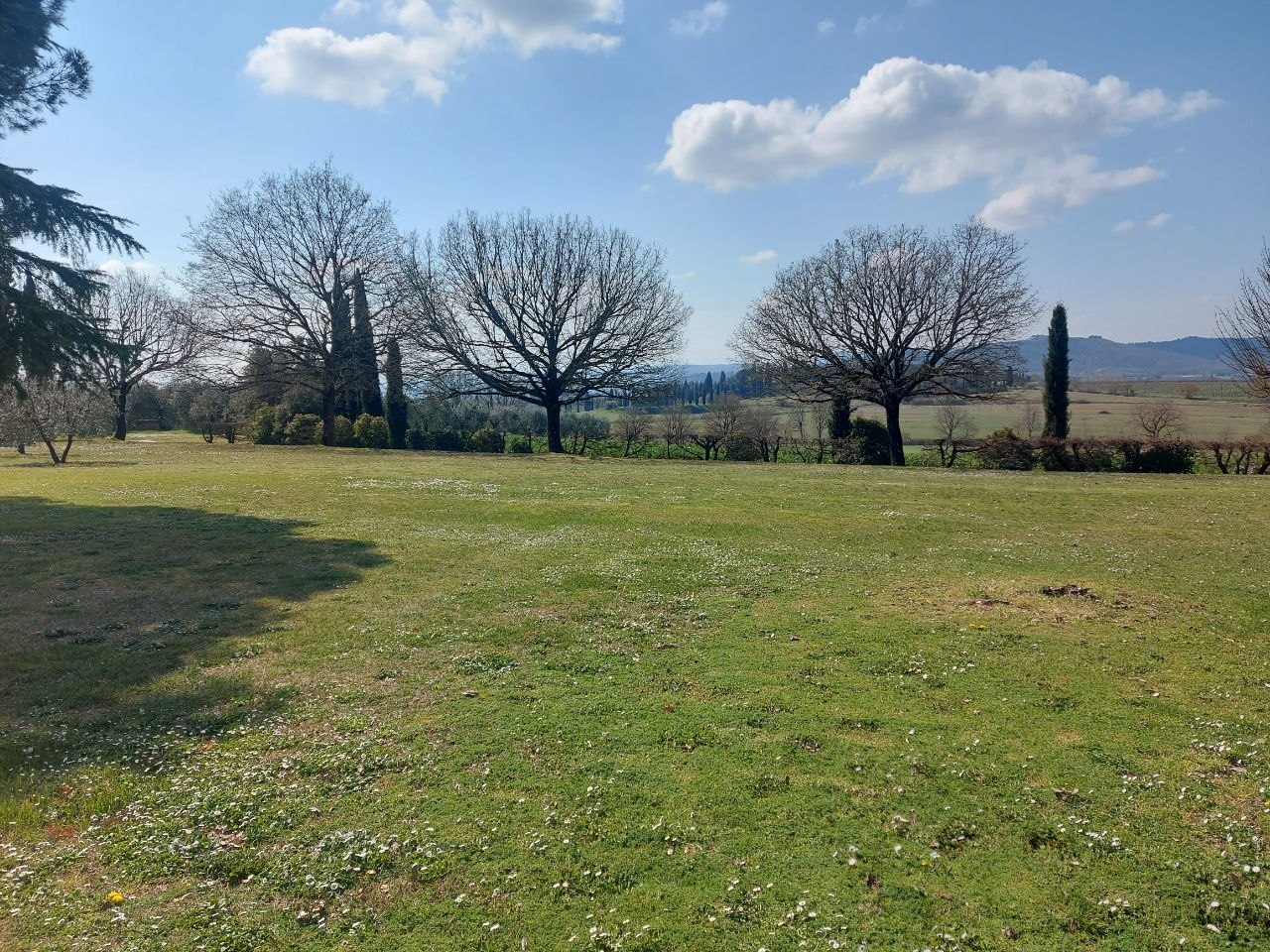 Villa Con Vista Panoramica su Lucignano – Rif. V182